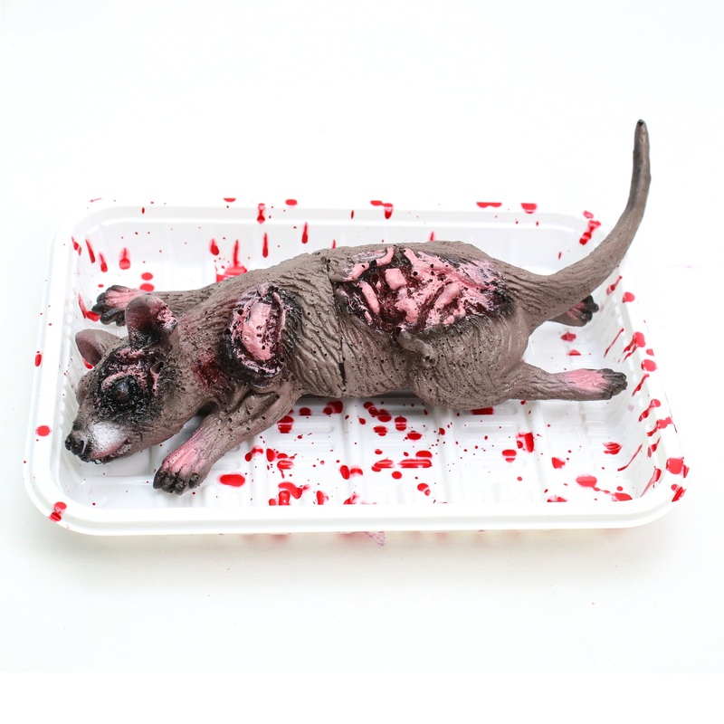 Chop Shop On Tray Rat