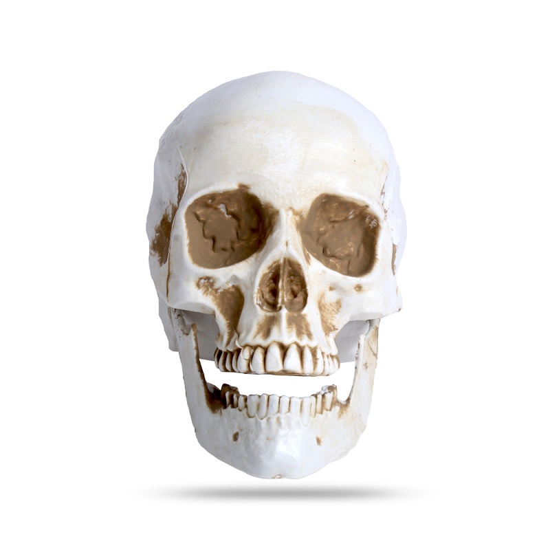 Skull Decoration 10Cm 1Pc