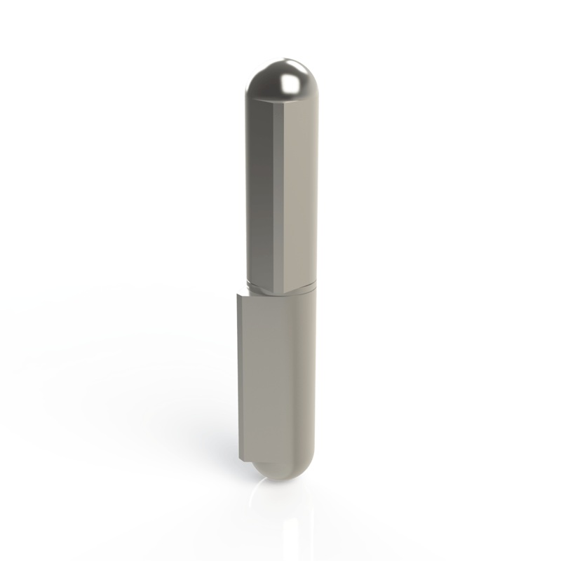 2-3/8 SS Weld-On Hinge with SS Pin/Washer
